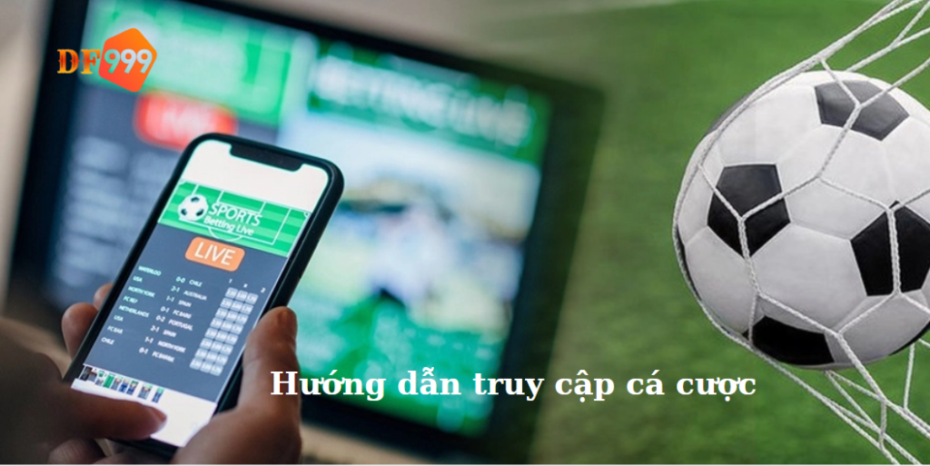 Hướng dẫn truy cập cá cược