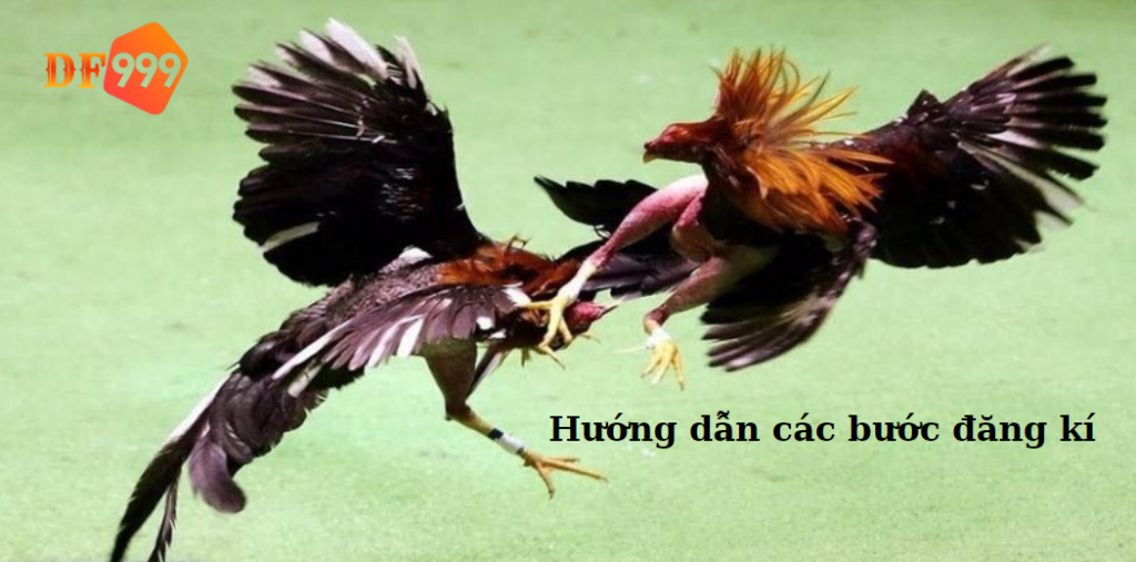 Hướng dẫn các bước đăng kí