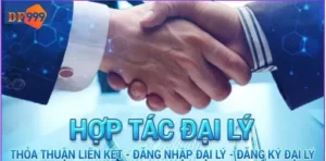 Đại lý DF999